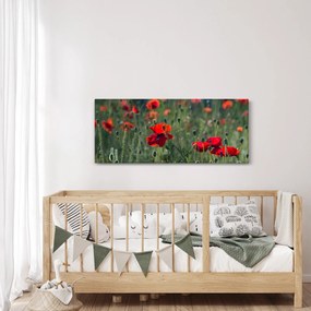 Kép - Rét mák virággal (120x50 cm)