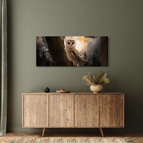 Egy gyöngybagoly képe (120x50 cm)