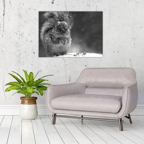 Kép - Mókus télen (70x50 cm)