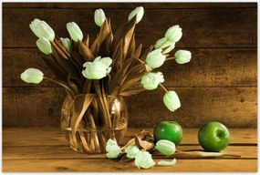 Poszterek 120x80 Szépia tulipánok