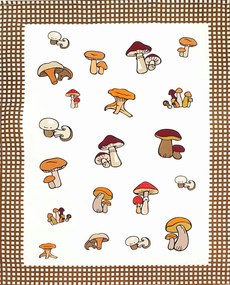 Konyhai törlőkendő pamut Görögország 50x64cm gomba barna