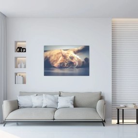 Egy kép a macskáról a padlón (90x60 cm)