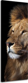 Vászonkép Veszélyes Fenséges Oroszlán Állat 40x120 cm