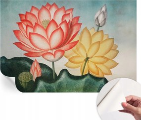 Öntapadós fotótapéta Nappaliba és Hálószobába Lótusz virágok 104x70