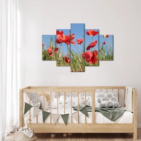 Kép - Pipacsok (150x105 cm)