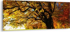 Az őszi kép (120x50 cm)