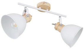 Globo 54018-2 - Spotlámpa WIHO 2xE27/40W/230V