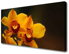 Canvas kép virágok növények 100x50 cm