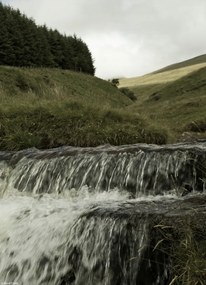 Poszter 20,5x28,4cm Közelkép a patakhoz, Assaf Frank