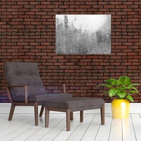 Üveg kép - Levendula (70x50 cm)