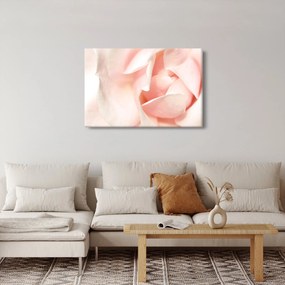 Kép - Rózsák (90x60 cm)