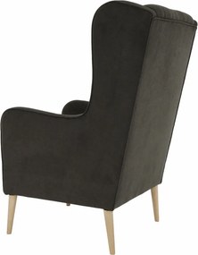 Kényelmes fotel, barna/bükk, BREDLY