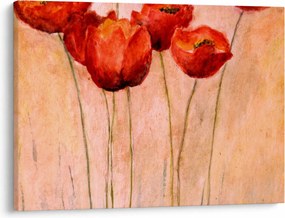 Kép - piros tulipán (70x50 cm)