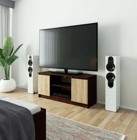 TV asztal Darian  (wenge + szonoma tölgy). Akció -13%. 1069383