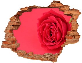 Fali matrica lyuk a falban Vörös rózsa nd-c-77656963