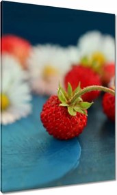 Vászonkép 70x100 Vízszintesek és margaréták