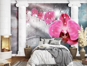 Gario Fotótapéta Rózsaszín orchidea virág Anyag: Vlies, Méret: 150 x 105 cm