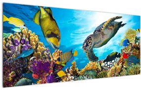 Egy korallzátony képe (120x50 cm)