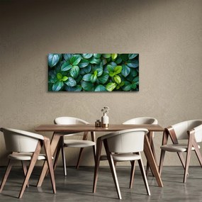 Kép - Zöld növények (120x50 cm)