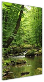 Akril üveg kép Folyó az erdőben oav-90680304