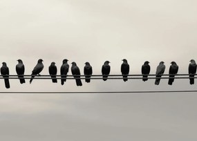 Poszter 70x50cm Konferencia a Magasságban