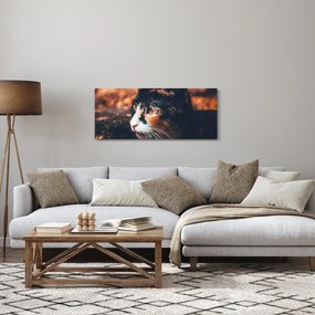 Kép - A macska látképe (120x50 cm)