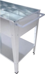 Magaságyás Mariegold – Garden Pleasure