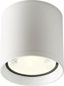 REDO 90347 XILO Modern Kültéri Mennyezeti Lámpa LED IP54
