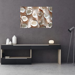 Kép - Kókuszdiók (90x60 cm)