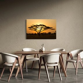 Kép - afrikai szavanna (90x60 cm)