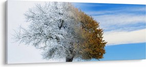 Kép - Évszakváltás (120x50 cm)