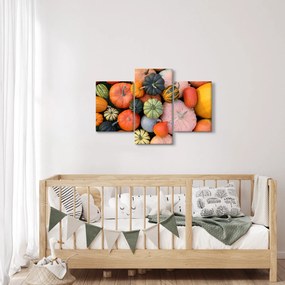 Kép - Tök (90x60 cm)