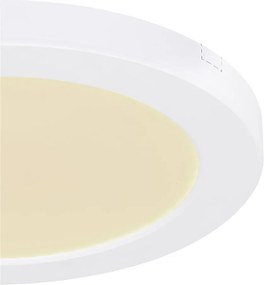 GLOBO 12379-18W LASSE Kerek Mennyezeti Lámpa LED IP20