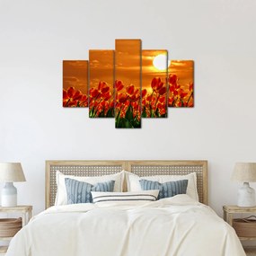 Kép egy virágzó mező tulipánokkal (150x105 cm)