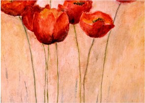 Kép - piros tulipán (70x50 cm)