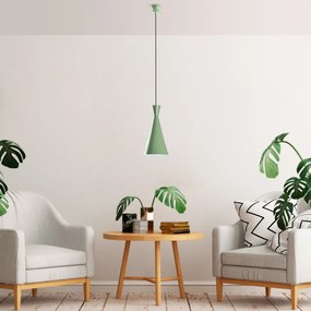 Tom - 3541 - Mint