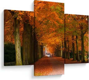 Kép - A Avenue of fák ősszel (90x60 cm)