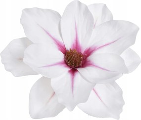 Magnólia Fej Élő Mágnólia Virágok művirág Gumi -na