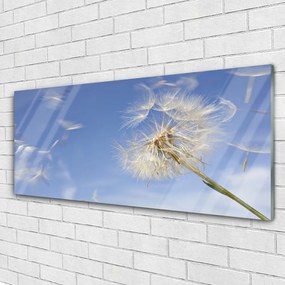 Akril üveg kép pitypang növény 100x50 cm