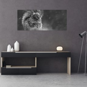 Kép - Mókus télen (120x50 cm)