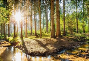 Flizelin tapéta Divatos 3D fali ragasztó Erdei idill 152x104 ragasztó