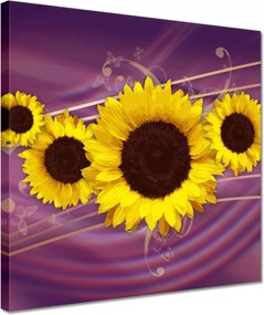 Vászonkép 30x30 Napraforgók