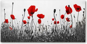 Fotó kép edzett üveg Pipacsok 140x70