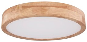 Globo 41745-24 - LED Dimmelhető mennyezeti lámpa RAINER LED/24W/230V + távirányító