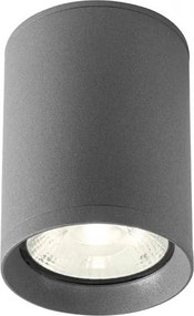 REDO 90342 XILO Modern Kültéri Mennyezeti Lámpa LED IP54