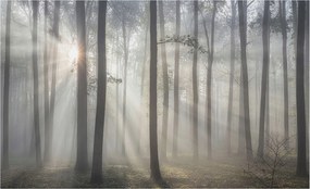 Flizelin tapéta falra Prémium éteri erdő 416x254 Ragasztó