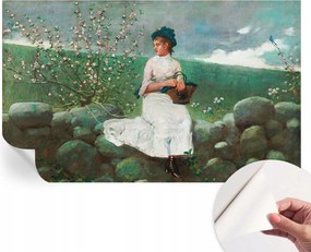 Dekoratív Öntapadós Tapéta Divatos Minták Virágos nyugalom 416x254 cm