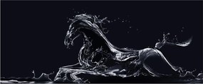 Kép - Ló és a víz (120x50 cm)