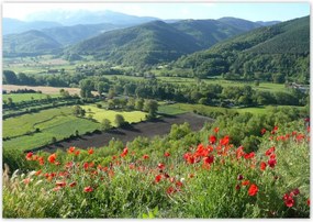 Poszterek 100x70 Virágos kilátás a hegyekben