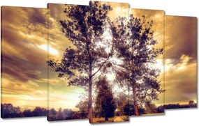 Festmények 100x60 Vidéki tájkép úttal